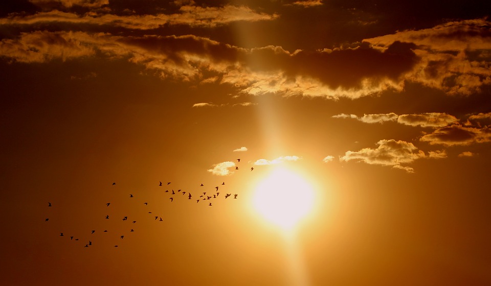 zomer schoonmaak