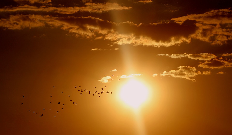 zomer schoonmaak