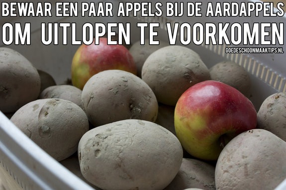 aardappelen bewaren